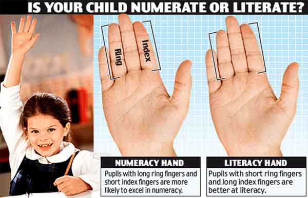 length-of-fingers-7-year-old-maths-english